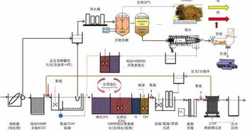 中國未來污水處理廠技術(shù)路線圖 來自MBBR工藝發(fā)明人的前瞻建議